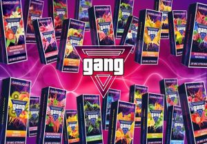     GANG (30 )
