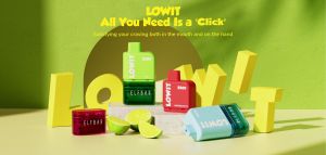  Elf Bar Lowit +  Lowit 5500 